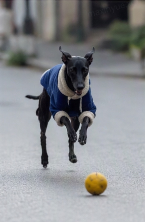 Dog cafe vlog, one-click assembly · 参照画像 · img 044