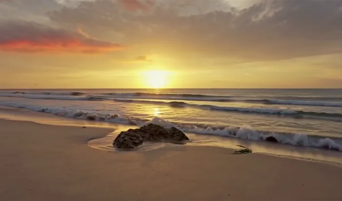 Add Element — A Reef on the Beach