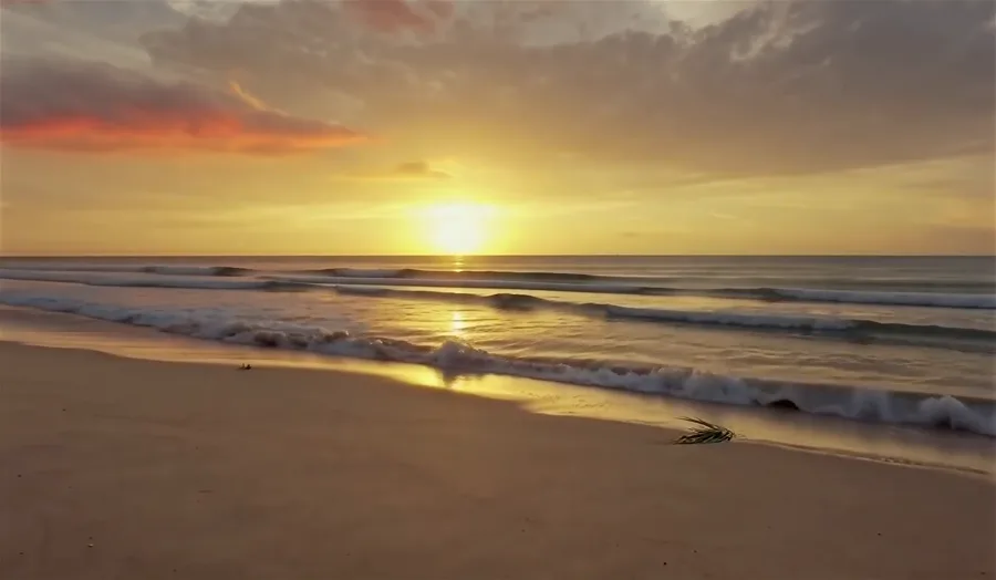 Add Element — A Reef on the Beach · Vídeo de entrada · 编辑前视频